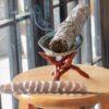 Natural White Sage Grass Bundle Smudge Stick Pure Leaf Smoky Indoor Purification Grass Incense Home Office Cleansing Bundle - Imagen 2