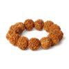 Original 20mm Vajra Bodhi Bracelets Men Nature Rudraksha Meditation Bead Bracelets for Women Prayer Tibetan Buddhism Jewelry New - Imagen 6